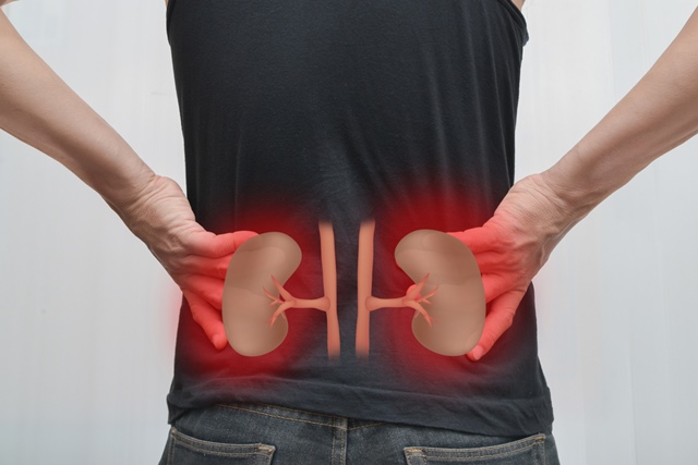 Dureri la rinichi (Dureri la rinichi) | Cauza, diagnostic, simptome și tratament