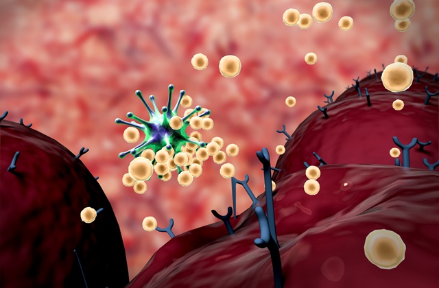 Imunitatea: cum functioneaza si sfaturi pentru sanatatea sistemului imunitar