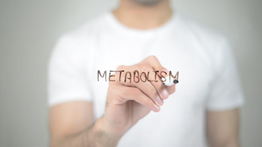 rata metabolică după pierderea în greutate
