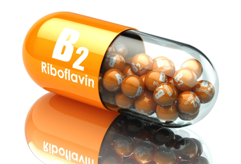 Vitamina B2 (riboflavina) | Vitoral