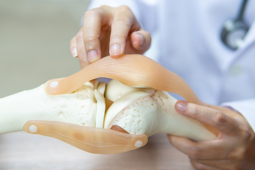 tratamentul bancar al artrozei genunchiului