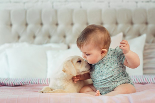 Bebelusul si animalele de companie: e bine sau nu sa ai in casa un companion? 