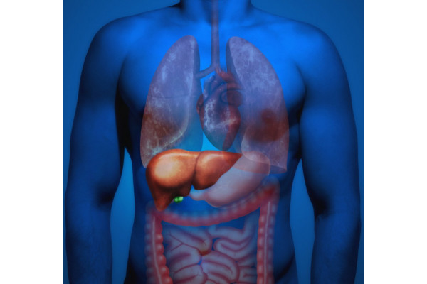 boli ale ficatului și articulațiilor