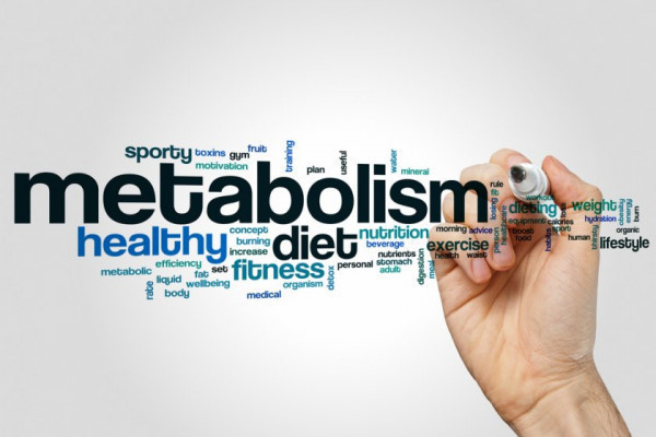 creșterea metabolismului după pierderea în greutate