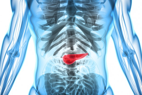 poate tumorile pancreatice benigne cauzează pierderea în greutate)