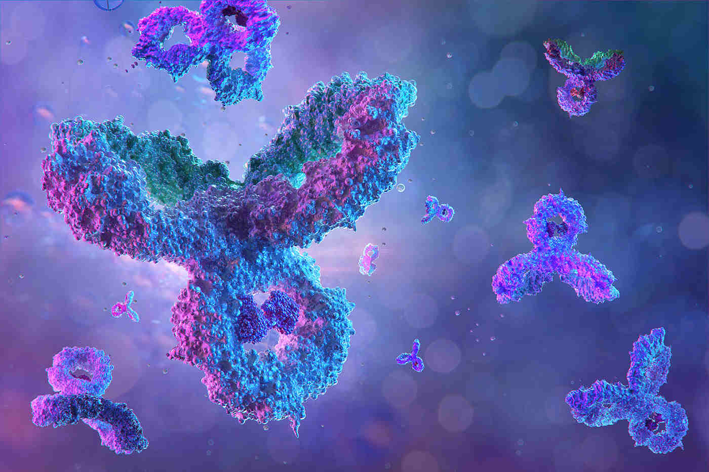 rolul anticorpilor în helmintiază