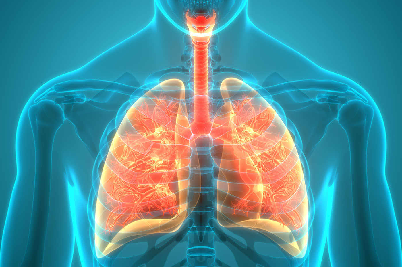Rolul şi importanţa medicului de familie în diagnosticul fibrozei pulmonare idiopatice