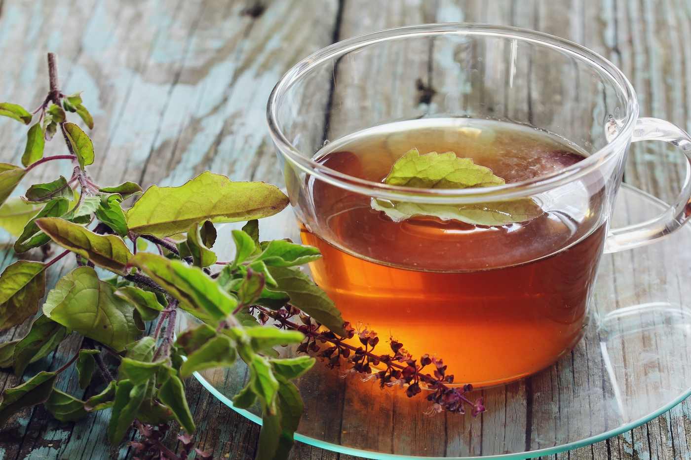 beneficiile pierderii de greutate a ceaiului tulsi