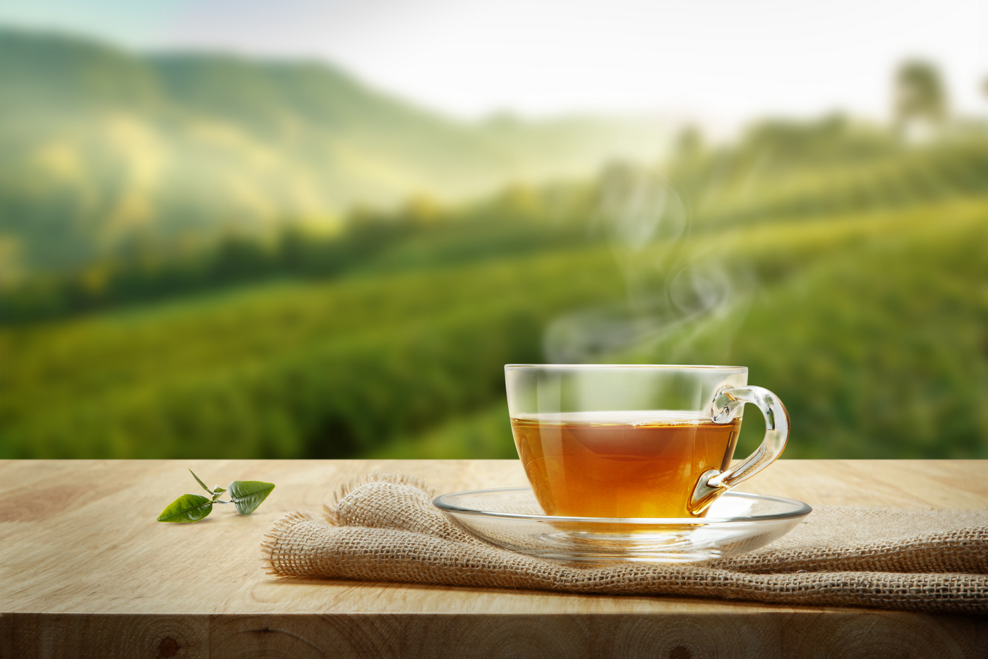 Beneficiile ceaiului verde in curele de slabire