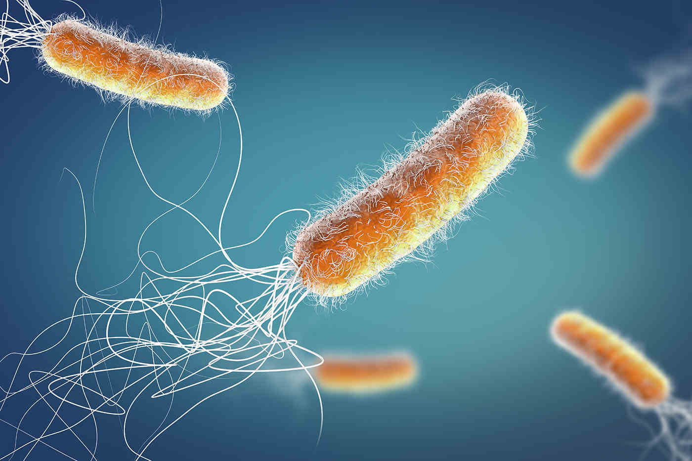 pseudomonas aeruginosa cu prostatita zoflox din prostatită