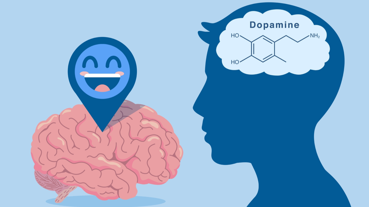 Dopamina, hormonul fericirii: rol, efecte și cum se pot ajusta nivelurile