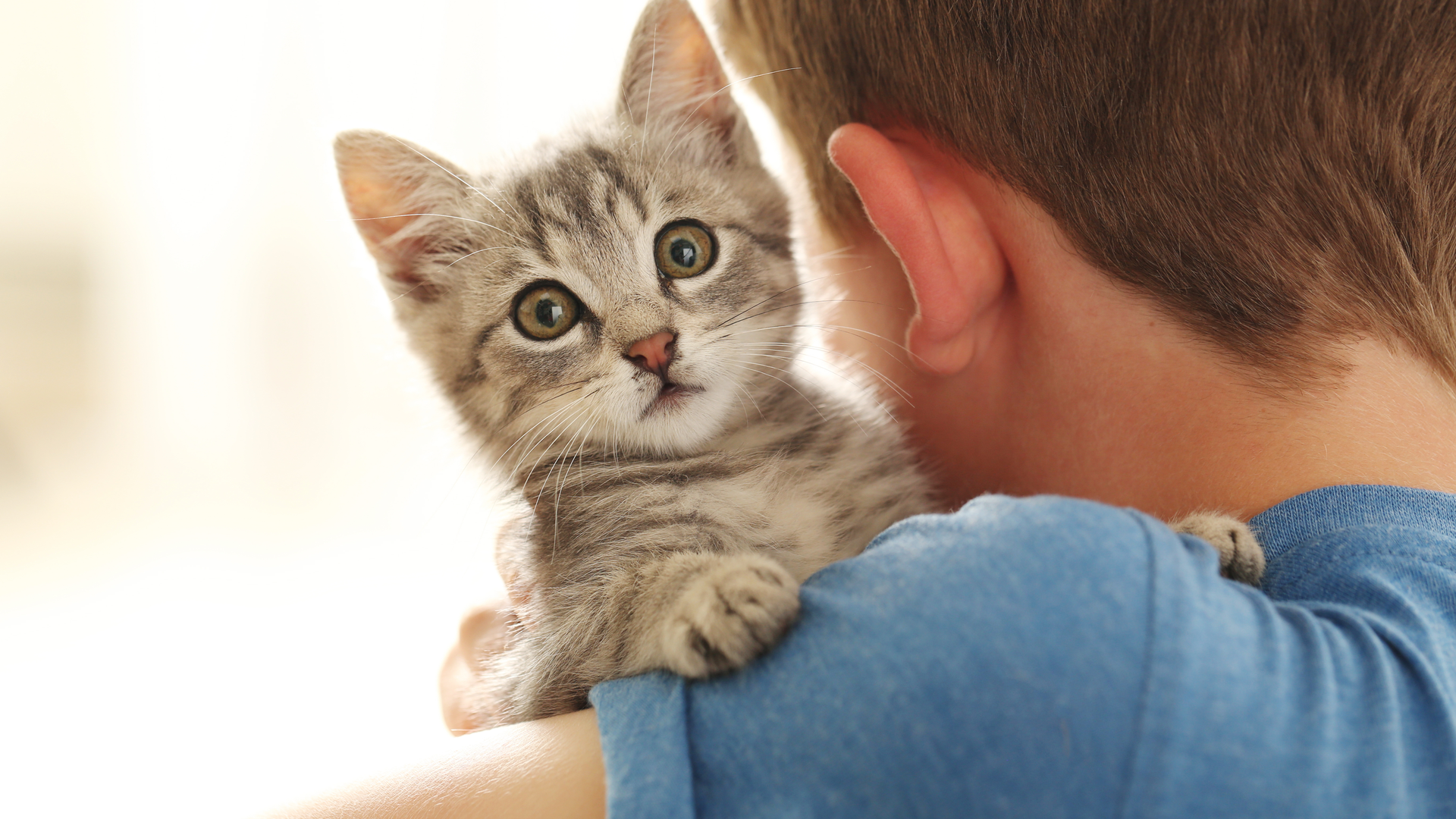 Prezenta unei pisici poate sa reduca riscul de astm la copiii mici [studiu]