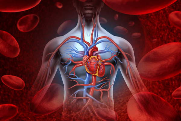 Bolile de inima afecteaza intregul organism