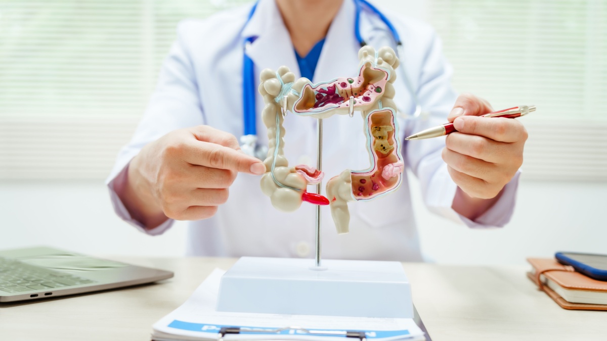 Intestino Normal Ce înseamnă un tranzit intestinal normal?