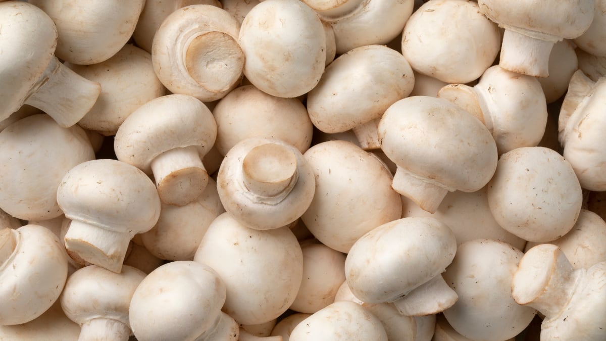 Ciupercile, importante într-un regim alimentar echilibrat