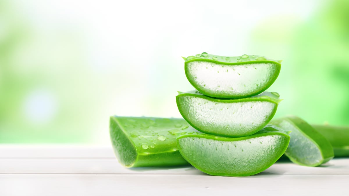 Cum să faci gel de aloe vera