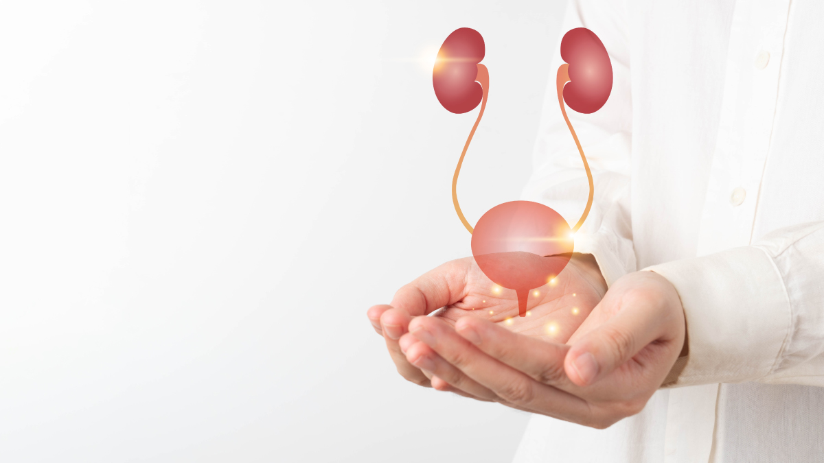 Infectiile de tract urinar (ITU): cauze, simptome, tratament