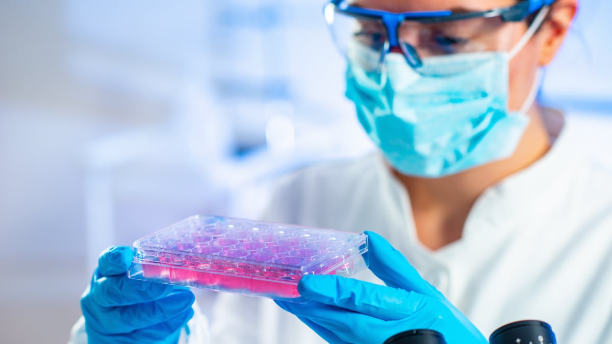 Celulele stem modificate, un posibil leac pentru diabetul de tip 1